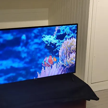 Apt. 301 - Whale Safari Апартаменты *