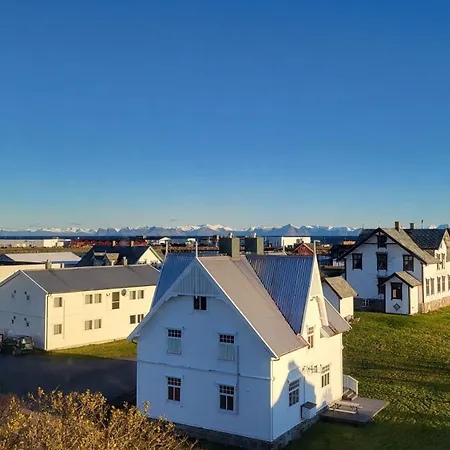 Apt. 301 - Whale Safari