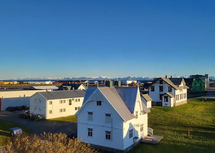 Apt. 301 - Whale Safari