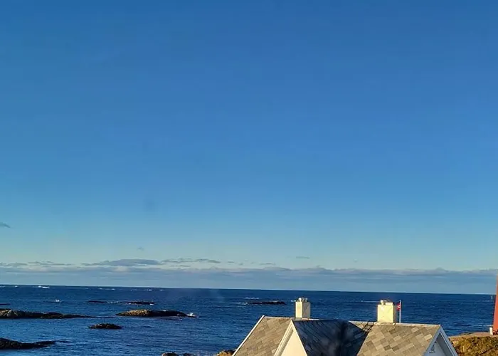 Apartament Apt. 301 - Whale Safari